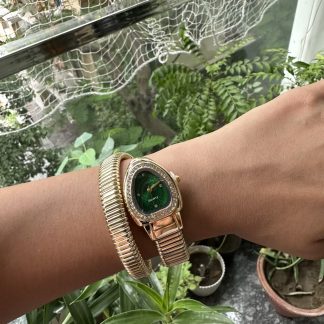 Green Snake Watch