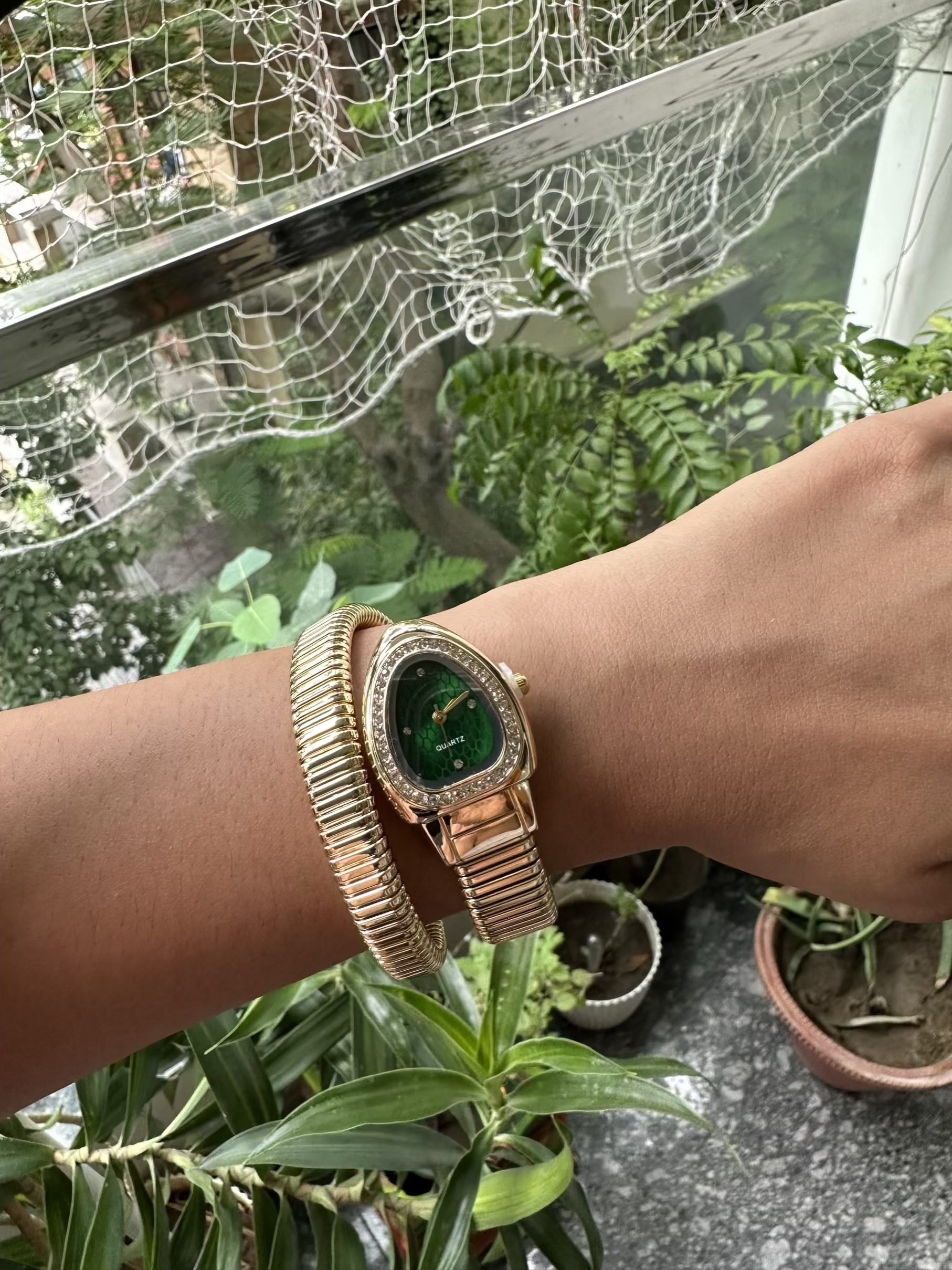 Green Snake Watch